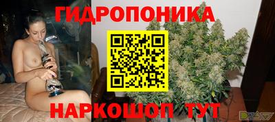 дживик Майкоп