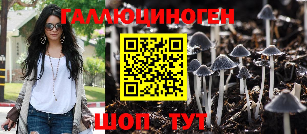 Псилоцибиновые грибы мухоморы Протвино