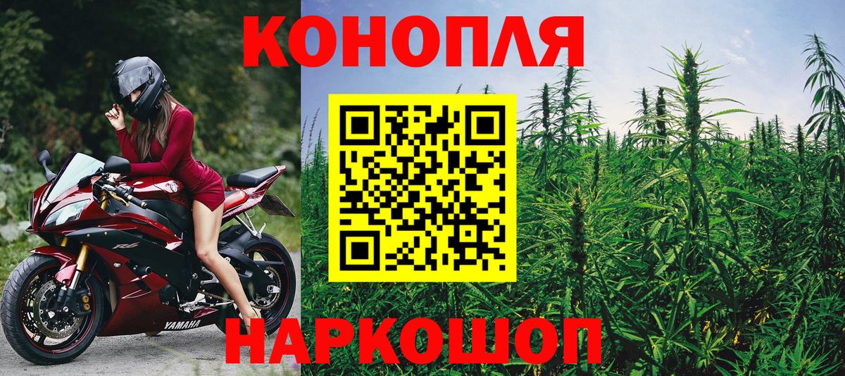 Бошки Шишки конопля Протвино